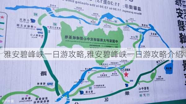 雅安碧峰峡一日游攻略,雅安碧峰峡一日游攻略介绍-第2张图片-九五旅游网