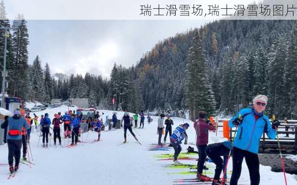 瑞士滑雪场,瑞士滑雪场图片-第1张图片-九五旅游网