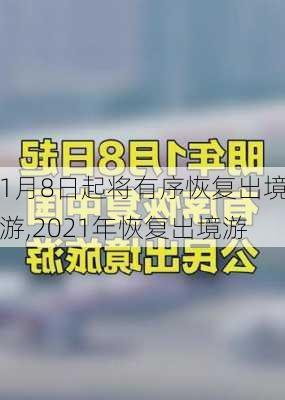 1月8日起将有序恢复出境游,2021年恢复出境游