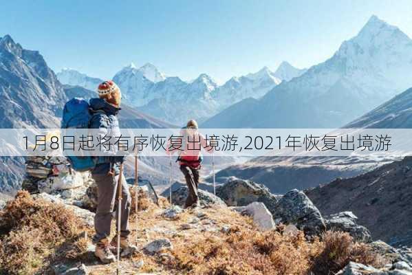 1月8日起将有序恢复出境游,2021年恢复出境游-第3张图片-九五旅游网