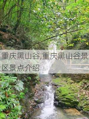 重庆黑山谷,重庆黑山谷景区景点介绍-第3张图片-九五旅游网