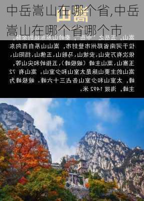 中岳嵩山在哪个省,中岳嵩山在哪个省哪个市-第2张图片-九五旅游网