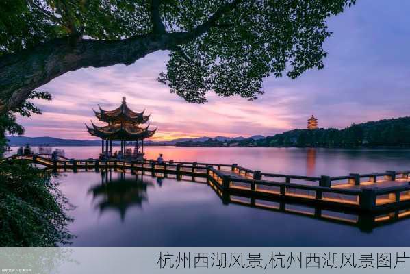 杭州西湖风景,杭州西湖风景图片-第2张图片-九五旅游网