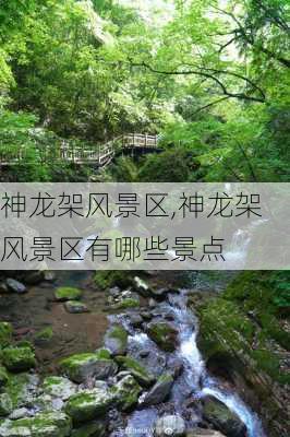 神龙架风景区,神龙架风景区有哪些景点-第2张图片-九五旅游网