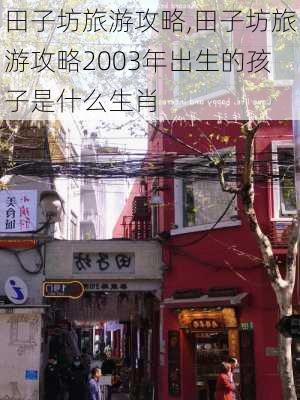 田子坊旅游攻略,田子坊旅游攻略2003年出生的孩子是什么生肖