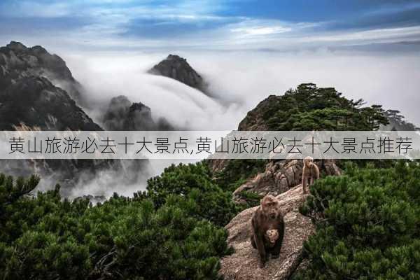 黄山旅游必去十大景点,黄山旅游必去十大景点推荐-第1张图片-九五旅游网