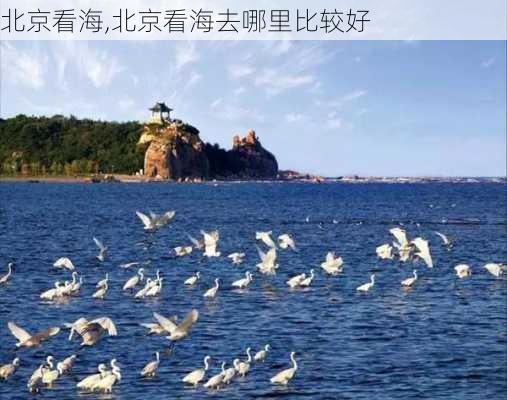 北京看海,北京看海去哪里比较好-第3张图片-九五旅游网