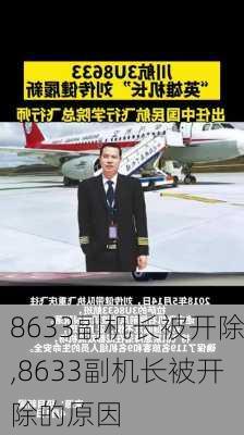 8633副机长被开除,8633副机长被开除的原因-第3张图片-九五旅游网