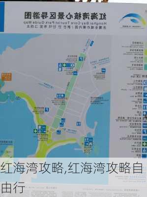 红海湾攻略,红海湾攻略自由行-第3张图片-九五旅游网