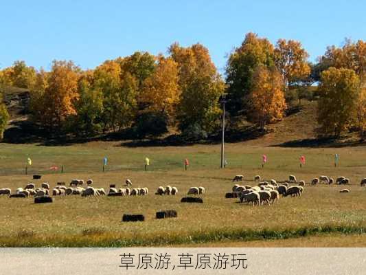 草原游,草原游玩-第2张图片-九五旅游网