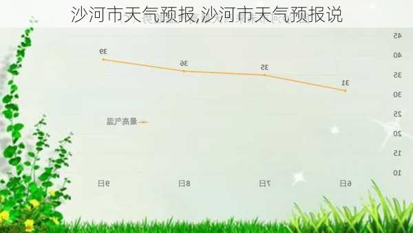 沙河市天气预报,沙河市天气预报说-第1张图片-九五旅游网