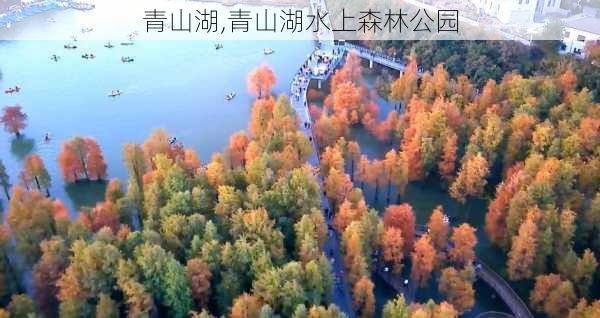 青山湖,青山湖水上森林公园-第2张图片-九五旅游网