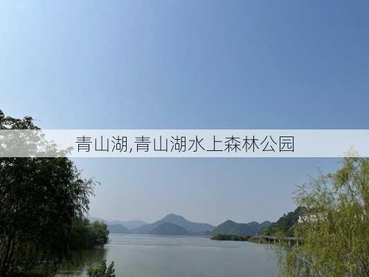 青山湖,青山湖水上森林公园