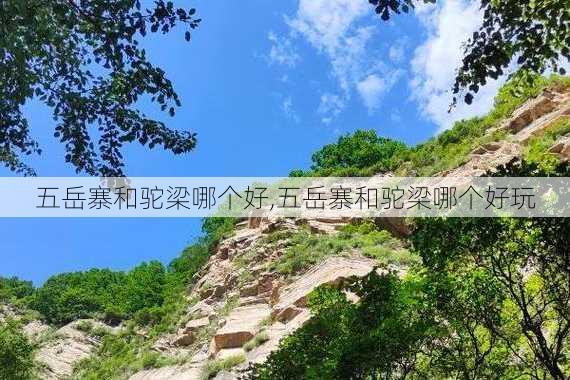 五岳寨和驼梁哪个好,五岳寨和驼梁哪个好玩-第3张图片-九五旅游网