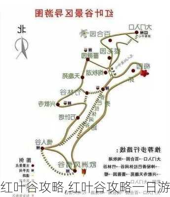 红叶谷攻略,红叶谷攻略一日游-第3张图片-九五旅游网