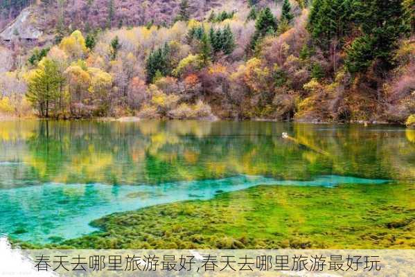 春天去哪里旅游最好,春天去哪里旅游最好玩-第3张图片-九五旅游网