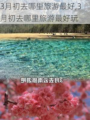 3月初去哪里旅游最好,3月初去哪里旅游最好玩-第2张图片-九五旅游网