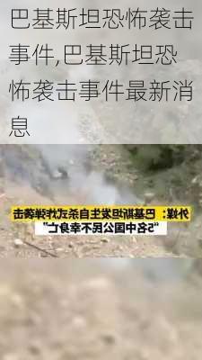 巴基斯坦恐怖袭击事件,巴基斯坦恐怖袭击事件最新消息-第3张图片-九五旅游网