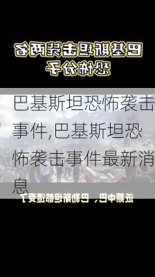 巴基斯坦恐怖袭击事件,巴基斯坦恐怖袭击事件最新消息-第2张图片-九五旅游网