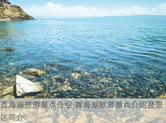 青海湖旅游景点介绍,青海湖旅游景点介绍及景区简介-第1张图片-九五旅游网