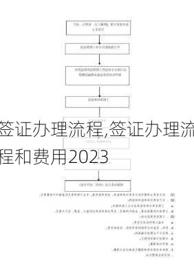 签证办理流程,签证办理流程和费用2023