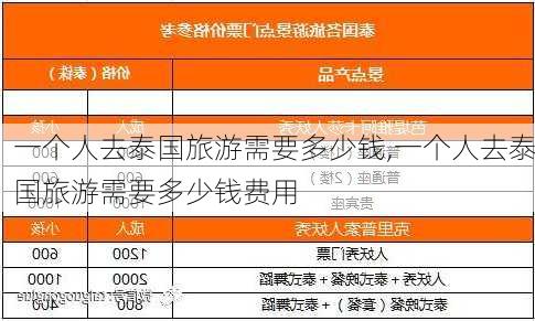 一个人去泰国旅游需要多少钱,一个人去泰国旅游需要多少钱费用-第2张图片-九五旅游网