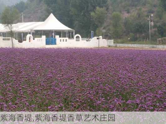 紫海香堤,紫海香堤香草艺术庄园-第1张图片-九五旅游网