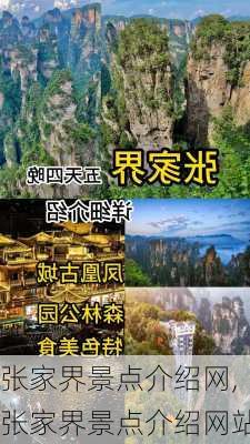 张家界景点介绍网,张家界景点介绍网站-第3张图片-九五旅游网