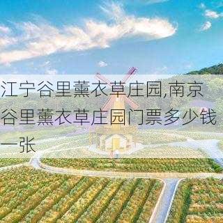 江宁谷里薰衣草庄园,南京谷里薰衣草庄园门票多少钱一张-第3张图片-九五旅游网