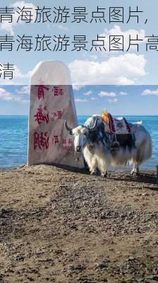 青海旅游景点图片,青海旅游景点图片高清-第2张图片-九五旅游网