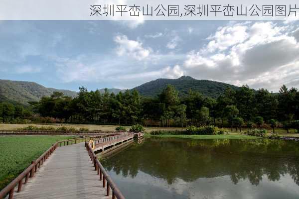 深圳平峦山公园,深圳平峦山公园图片