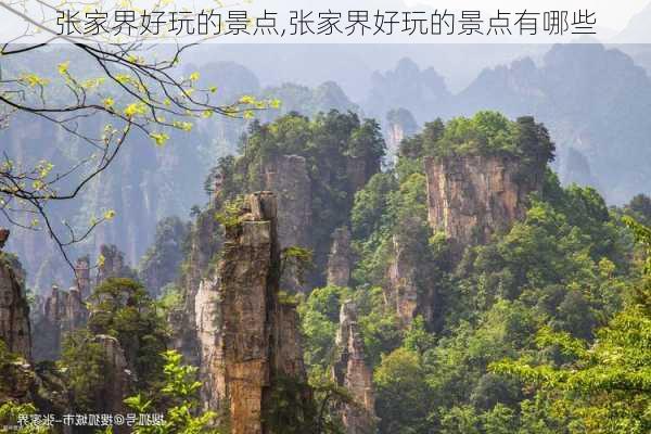 张家界好玩的景点,张家界好玩的景点有哪些