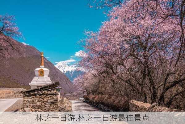 林芝一日游,林芝一日游最佳景点-第2张图片-九五旅游网