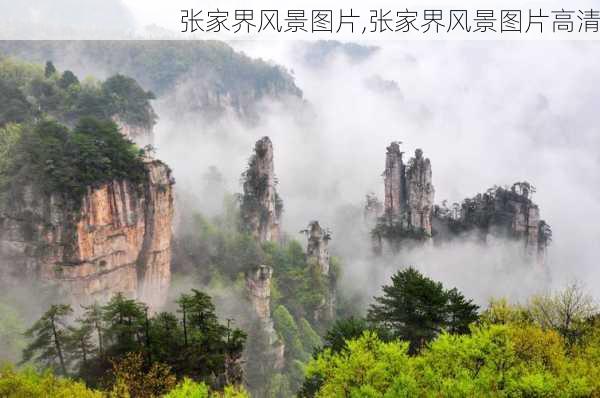 张家界风景图片,张家界风景图片高清-第2张图片-九五旅游网