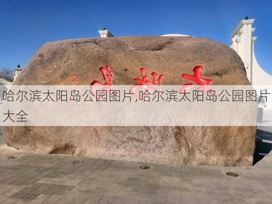 哈尔滨太阳岛公园图片,哈尔滨太阳岛公园图片大全-第2张图片-九五旅游网